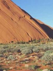 Grave Robbing: Openi