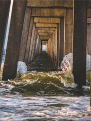 My seven stunning an