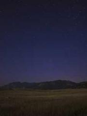 lt;Gingerly, Shen Qi