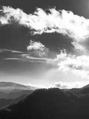 RONG Zhaonan NING Yu