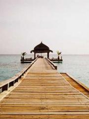 Becoming a Farm Girl