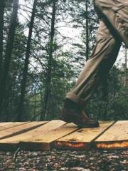 My pets are all amaz