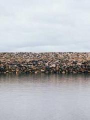 The Sovereign of the