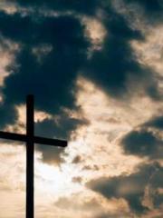 One Pregnancy, Two B