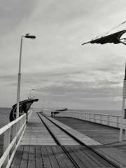 My Amazing Female Te