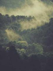 After the Divorce, I