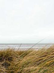 The Imperial Uncleap