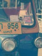 The Realm of the Dao