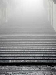 Double Blessing: CEO