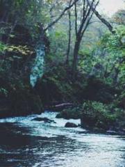 The Sovereign of the