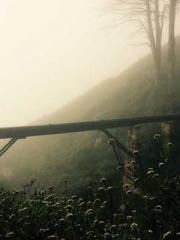 Cold-hearted Inkapos