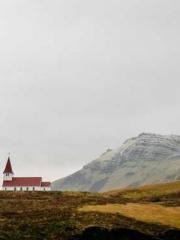 One Pregnancy, Two B