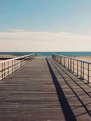 The Undefeated Son-i