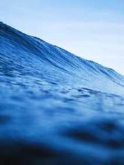 On our wedding night