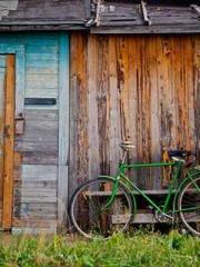 The Poisonous Doctor