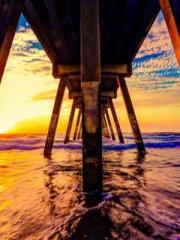 The Poisonous Doctor